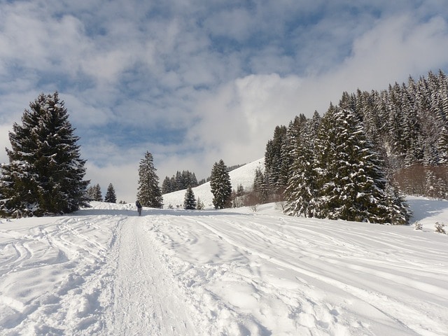 Neige en hiver