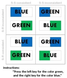 Bilinguals are more successful than monolinguals at classical Strimulus Response tests where the stimulus contains conflicting elements to be processed or ignored (credit dimensional-overlap.com)