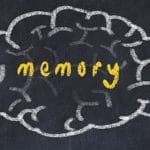 Lire la suite à propos de l’article Quel rôle joue la mémoire dans l’apprentissage des langues ?
