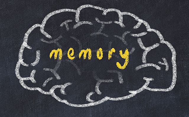 Memoire et cerveau
