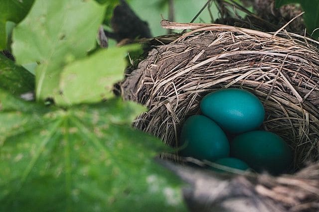 Easter in Germany: Winter is Leaving