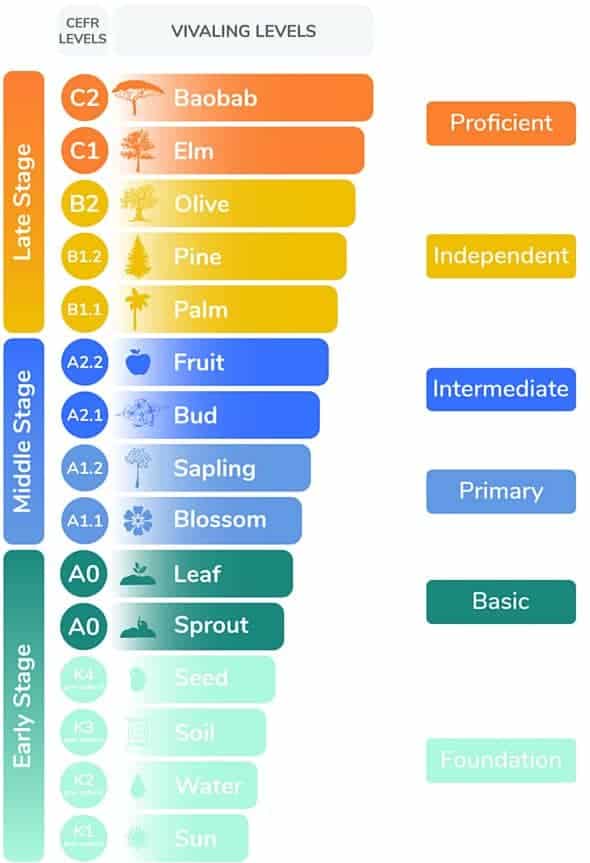 Curriculum Chart VivaLing